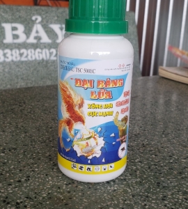 ĐẠI BÀNG LỬA XÔNG HƠI CỰC MẠNH