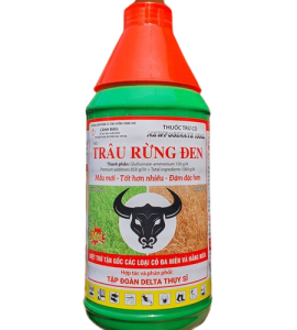 TRÂU ĐEN