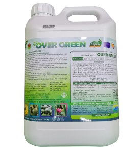 CAN 5L OVERGREEN