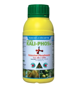 KALI PHOS HỢP TRÍ