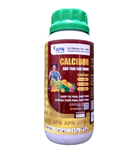 CALCIBOR