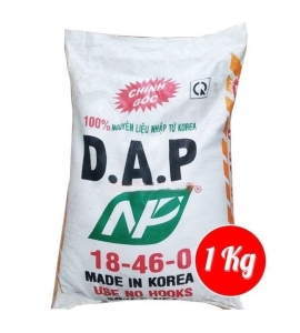 DAP NGUYỄN PHAN