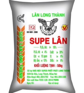 LÂN LONG THÀNH