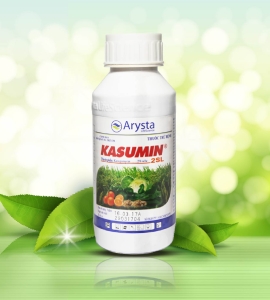 KASUMIN 25L