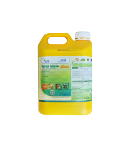 CAN 5L OVERGREEN GOLD