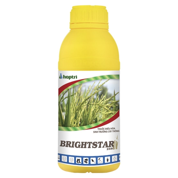 BRIGHTSTAR