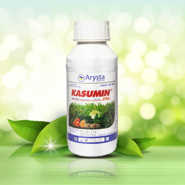 KASUMIN 25L