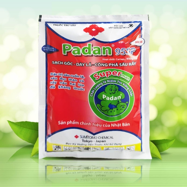 PADAN NHẬT